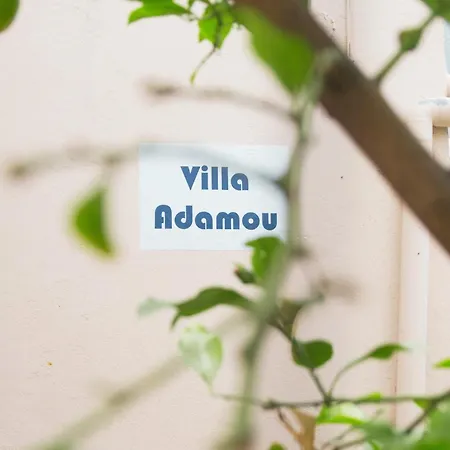 Adamou *